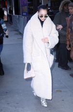 SOFIA CARSON Out and About in New York 01/29/2020