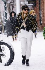 SOFIA RICHIE Out Shopping in Aspen 01/01/2020