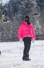 SOFIA RICHIE Out Skiing in Aspen 01/02/2020