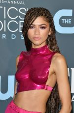 ZENDAYA at 25th Annual Critics Choice Awards in Santa Monica 01/12/2020