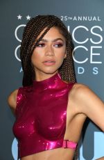 ZENDAYA at 25th Annual Critics Choice Awards in Santa Monica 01/12/2020