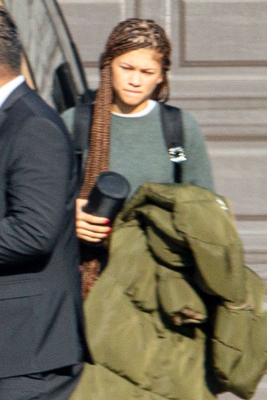 ZENDAYA COLEMAN Out and About in Los Angeles 01/13/2020