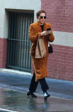 ZOEY DEUTCH Out Shopping in New York 01/16/2020