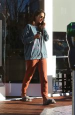 ALESSANDRA AMBROSIO at Sunlife Organics in Pacific Palisades 02/06/2020