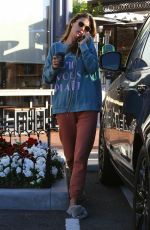 ALESSANDRA AMBROSIO at Sunlife Organics in Pacific Palisades 02/06/2020