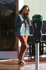 ALESSANDRA AMBROSIO at Sunlife Organics in Pacific Palisades 02/06/2020