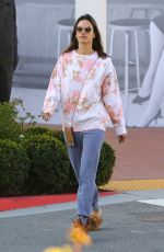 ALESSANDRA AMBROSIO Heading to Sunlife Organics in Pacific Palisades 02/20/2020