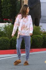 ALESSANDRA AMBROSIO Heading to Sunlife Organics in Pacific Palisades 02/20/2020