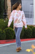 ALESSANDRA AMBROSIO Heading to Sunlife Organics in Pacific Palisades 02/20/2020