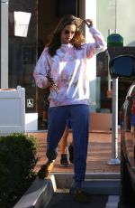 ALESSANDRA AMBROSIO Heading to Sunlife Organics in Pacific Palisades 02/20/2020