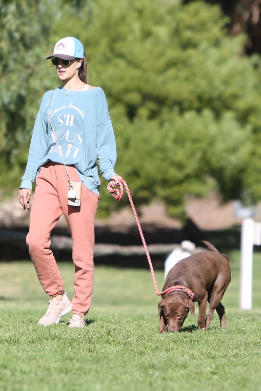 ALESSANDRA AMBROSIO Out Hikinig with Her Dog in Los Angeles 02/04/2020