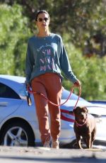 ALESSANDRA AMBROSIO Out Hikinig with Her Dog in Los Angeles 02/04/2020