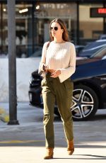 ALESSANDRA AMBROSIO Out in Santa Monica 02/04/2020