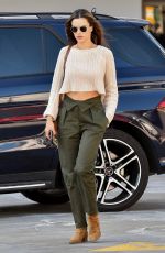 ALESSANDRA AMBROSIO Out in Santa Monica 02/04/2020