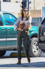 ALESSANDRA AMBROSIO Out in Santa Monica 02/04/2020
