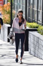 ALESSANDRA AMBROSIO Out in Santa Monica 02/05/2020