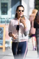 ALESSANDRA AMBROSIO Out in Santa Monica 02/05/2020