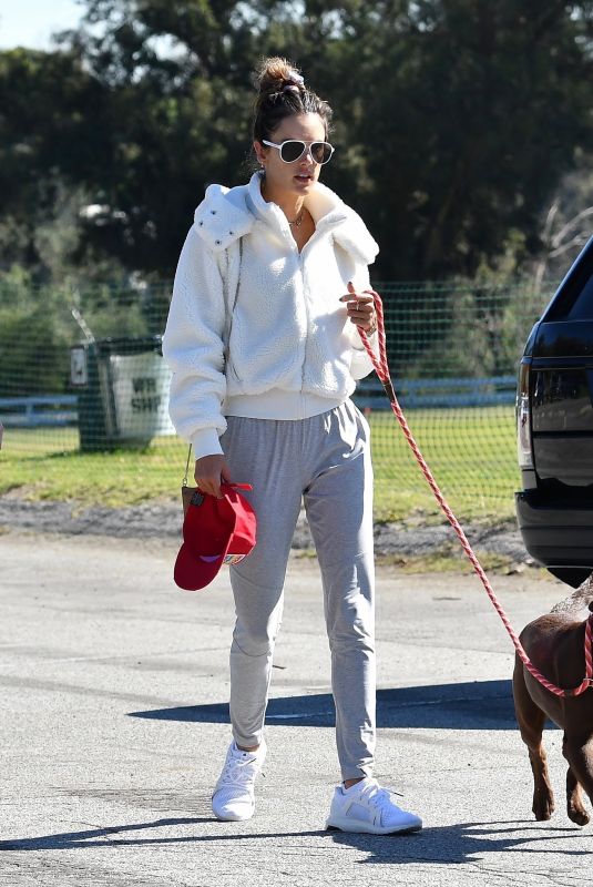 ALESSANDRA AMBROSIO Out with Her Dog in Pacific Palisades 02/06/2020