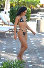 ALEXANDRA CANE in Bikini at a Pool in Los Angeles 02/04/2020