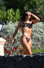 ALEXANDRA CANE in Bikini at a Pool in Los Angeles 02/04/2020