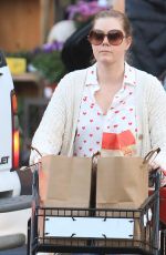 AMY ADAMS Out Shopping in Los Angeles 02/14/2020