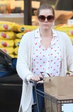 AMY ADAMS Out Shopping in Los Angeles 02/14/2020