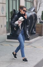 ANA DE ARMAS Out with Her Dog in New York 02/18/2020
