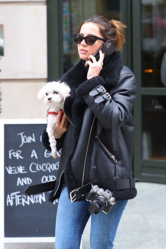 ANA DE ARMAS Out with Her Dog in New York 02/18/2020