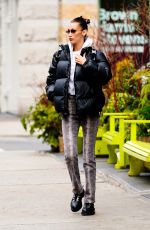 BELLA HADID Out with Friends in New York 01/31/2020