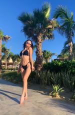 BELLA SHEPARD in Bikini - Instagram Photos and Videos 02/22/2020