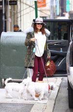 BETHENNY FRANKEL Out with Her Dogs in New York 01/31/2020