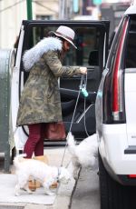 BETHENNY FRANKEL Out with Her Dogs in New York 01/31/2020