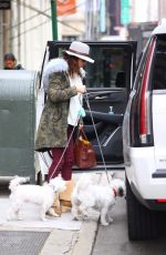 BETHENNY FRANKEL Out with Her Dogs in New York 01/31/2020