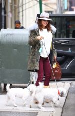 BETHENNY FRANKEL Out with Her Dogs in New York 01/31/2020