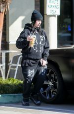 BILLIE EILISH Dropping Off Bouquets of Flowers to Friends in Los Angeles 02/14/2020