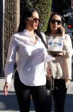 BRIE and Pregnant NIKKI BELLA Out in Los Angeles 02/14/2020