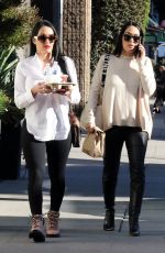 BRIE and Pregnant NIKKI BELLA Out in Los Angeles 02/14/2020