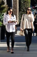 BRIE and Pregnant NIKKI BELLA Out in Los Angeles 02/14/2020