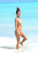 BROOKE BURKE and Her Girlfriends in Bikinis in Dominican Republic 02/07/2020