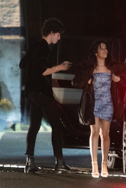 CAMILA CABELLO and Shawn Mendes Night Out in London 02/14/2020