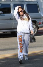 CARA SANTANA Arrives at Kate Somerville Spa in Los Angeles 02/24/2020