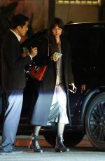 DAKOTA JOHNSON Night Out in Los Angeles 02/05/2020