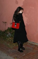 DAKOTA JOHNSON Night Out in Los Angeles 02/05/2020