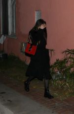 DAKOTA JOHNSON Night Out in Los Angeles 02/05/2020
