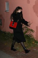 DAKOTA JOHNSON Night Out in Los Angeles 02/05/2020