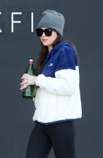 DAKOTA JOHNSON Out and About in Los Angeles 02/05/2020