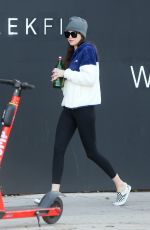 DAKOTA JOHNSON Out and About in Los Angeles 02/05/2020