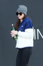 DAKOTA JOHNSON Out and About in Los Angeles 02/05/2020