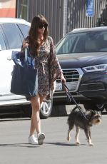 DAKOTA JOHNSON Out with Her Dog in Los Angeles 02/28/2020