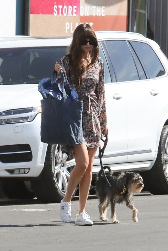 DAKOTA JOHNSON Out with Her Dog in Los Angeles 02/28/2020